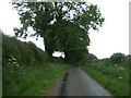 Lane towards Bradley in the Moors