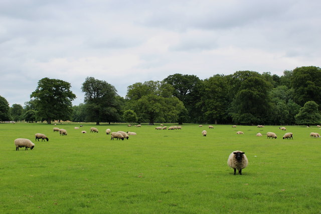 Newby Park © Chris Heaton cc-by-sa/2.0 :: Geograph Britain and Ireland