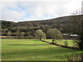 Field on the west bank of the River Wye near Whitebrook