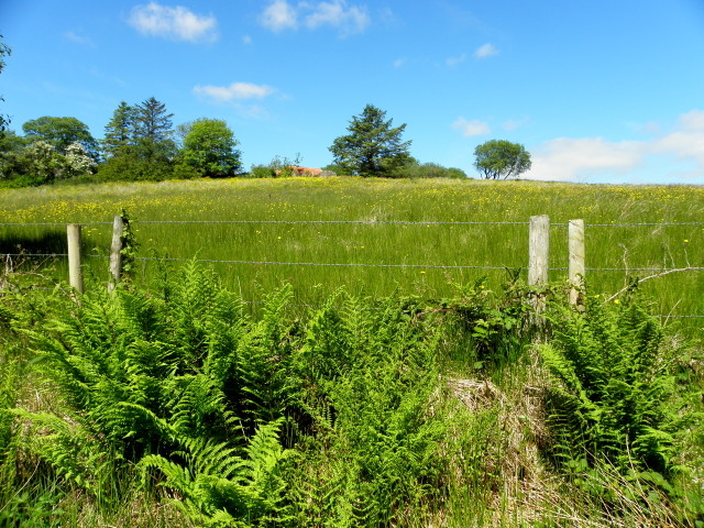 Corleaghan Townland © Kenneth Allen Cc-by-sa/2.0 :: Geograph Ireland