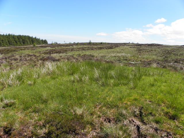 Upland area, Ballymacan © Kenneth Allen :: Geograph Britain and Ireland