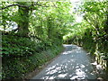 Lane from Woolland towards Bulbarrow