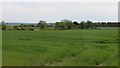 Arable land, Glasterlaw