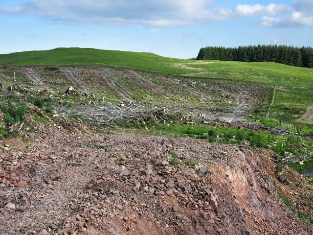 Area of felled trees on Maxwelton Hill © wrobison :: Geograph Britain ...