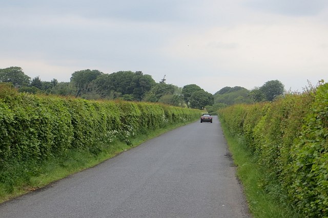 Road, Old Montrose