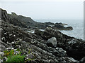 NG7415 : Rocky shoreline on the Sound of Sleat by John Allan