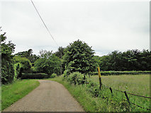 TG1600 : Road to Church Farm by Adrian S Pye