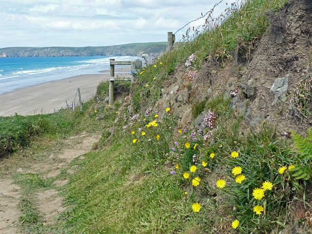 The coast path overlooking Newgale Sands