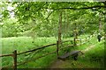 Footbridge in Stoneywell Wood