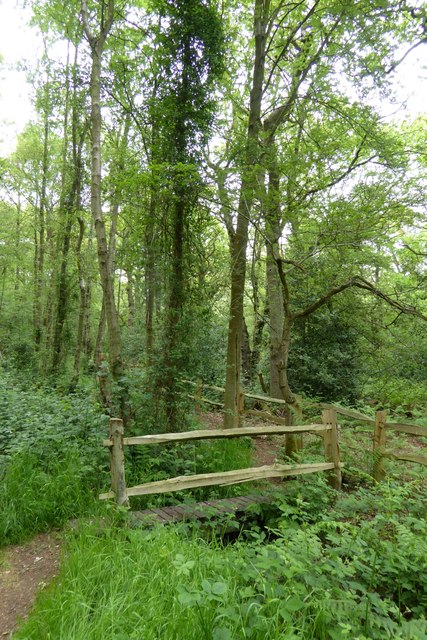 Footbridge on a path in Stoneywell Wood