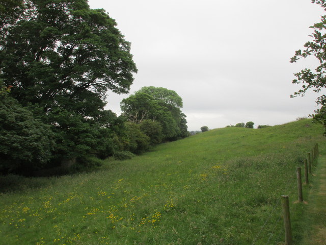 Field on the outskirts of Birr