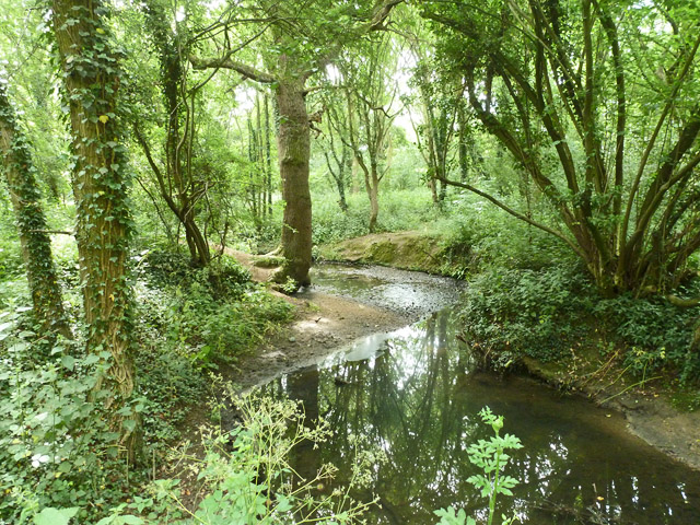 Netteswell Plantation, Harlow - area information, map, walks and more