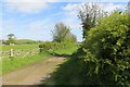 A green lane near Ledbury