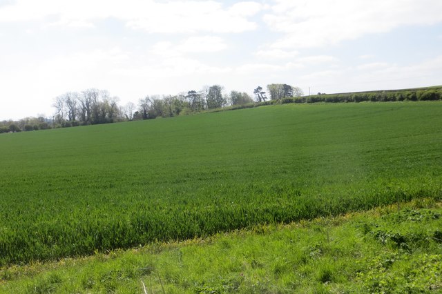 Field near Hawkhill