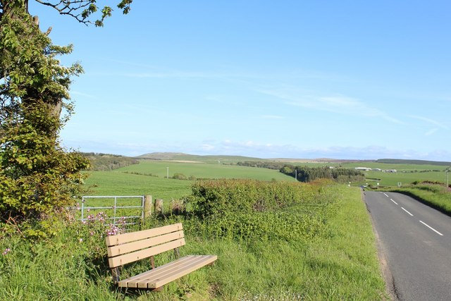 Roadside bench near Lagganhooly Wood