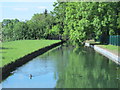 The New River east of Dewhurst Road, Churchgate, EN8 (2)