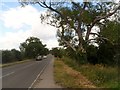 Road between Pavenham and Oakley