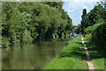 Trent & Mersey Canal in Burton upon Trent