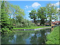 The New River by the island north of Church Lane, EN8