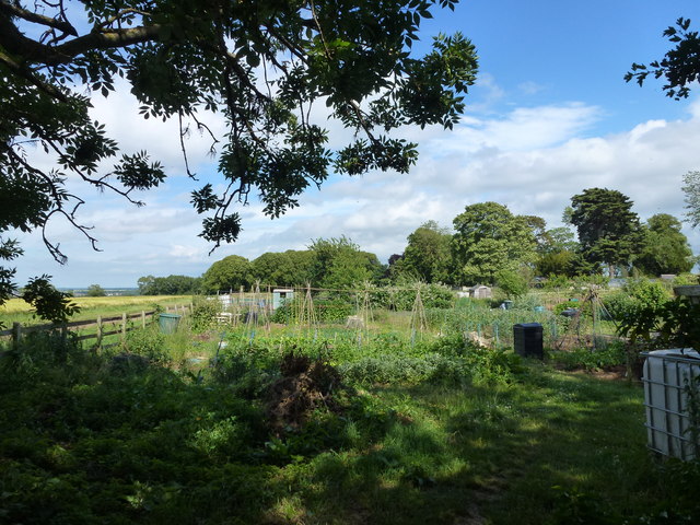 Allotments at Easton on the Hill