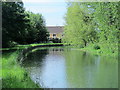 The New River west of Halfhide Lane, EN8 (2)