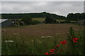 View toward the Stenigot tower from Viking Way south of Donington on Bain