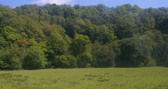 Meadow and woods by Afon Carno, from the railway