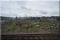 Allotments, South Croydon