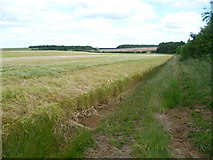TF0312 : Farmland near Essendine by Marathon
