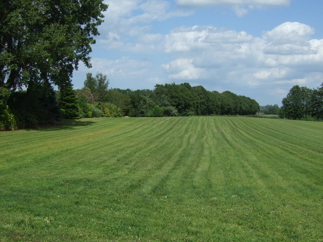 Field east of National Cycle Route 1 (Roman Bank)