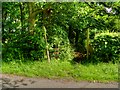 Footpath near Copster Cottages