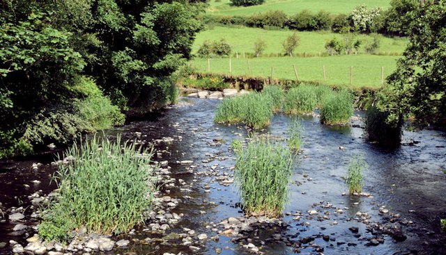 River Lagan, Dromore (June 2015) © Albert Bridge :: Geograph Ireland