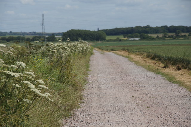 Track across the south Altcar mosses