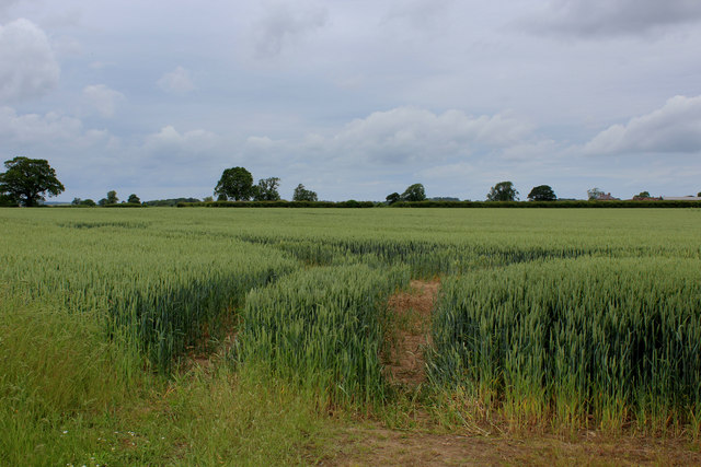 Arable Field beside Skelton Road
