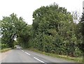 TL2718 : Watton Road east of Datchworth by David Howard