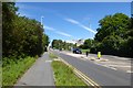 Looking up the hill