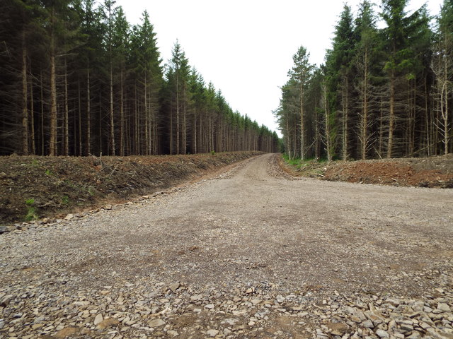 Completely new road in Swinside Hall Plantation in Scottish Borders