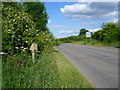 South Witham Nature Reserve alongside Morkery Lane