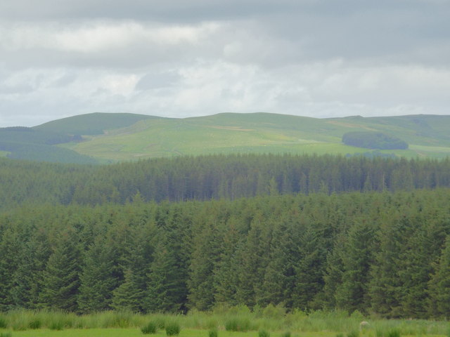 Swinside Hall Plantation in Scottish Borders
