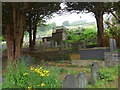 St Padarn, Llanbadarn Fawr: churchyard (xiv)