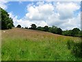 Lower Green Field/Upper Green Field