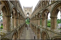 NT6520 : The Nave, Jedburgh Abbey by Russel Wills