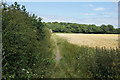 Footpath to Little Crosby woods