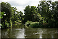 River Wey at Byfleet