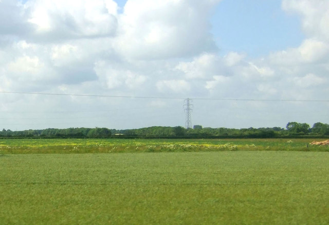 Farmland towards South Drove