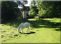 White horse at Moor Gate