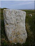SY6769 : Boundary Stone with benchmark, Wallsend Cove, Portland by Becky Williamson