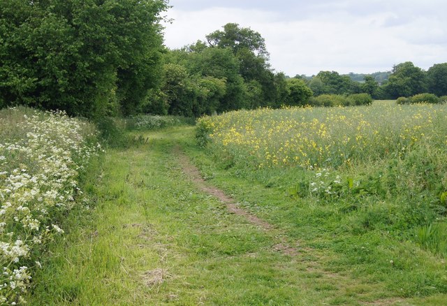 Path behind Breach Farm