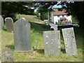 St Peter, Berrynarbor: churchyard (i)