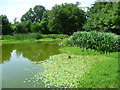 The fishpond on Barn Hill